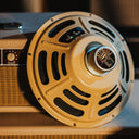 Explaining The Ubiquitous Speaker