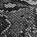 7310210_01.jpg