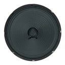 A view of the speaker cone from a Mojotone Alnico Anthem 10 inch diameter 35 watt guitar amplifier speaker.