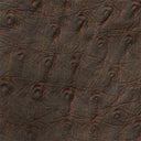 7310235_01.jpg