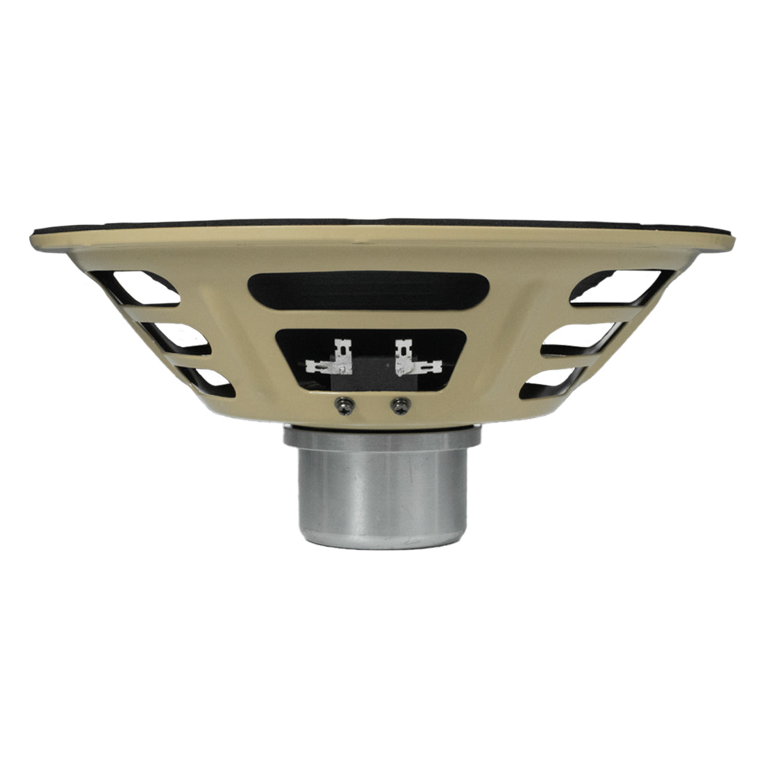 Mojotone Alnico Anthem 10