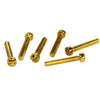 P.A.F. Humbucker/P90 5-40 Polepieces Gold (1010 Steel) (Set of 6)