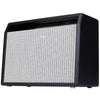 Fender Blackface Princeton Reverb 1x10 Combo Guitar Amp Cabinet