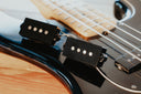 PRECISION BASS